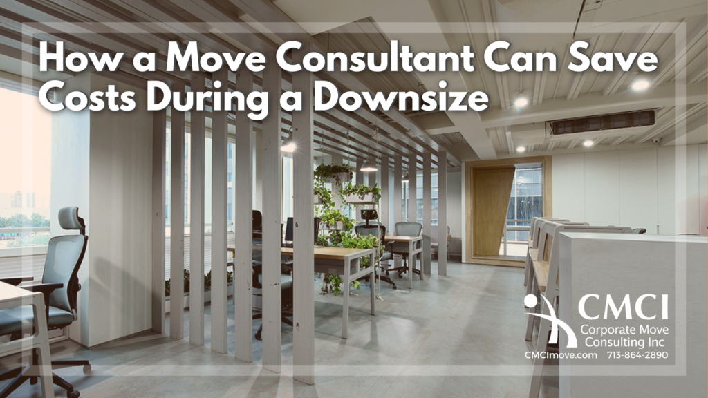 Move Consultant Downsize